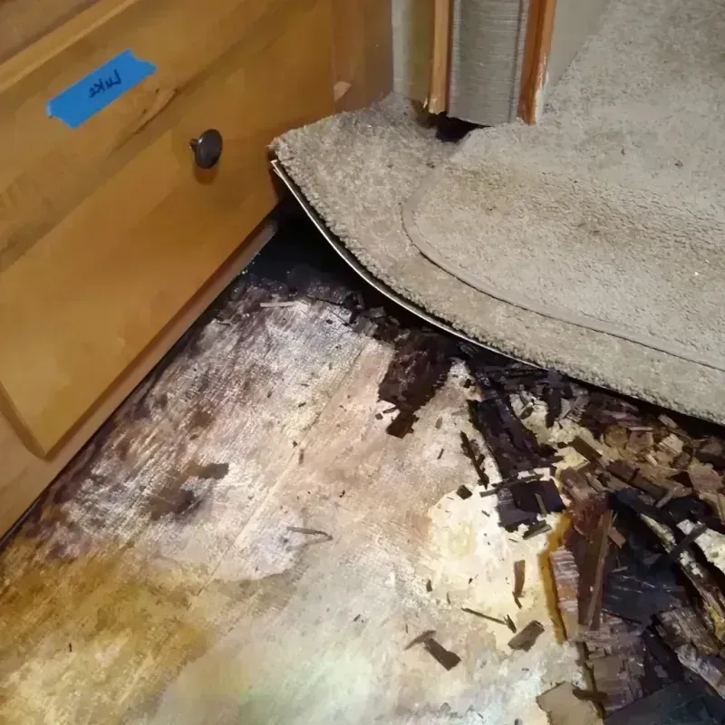 Wood Floor Water Damage in New Century KS, KS